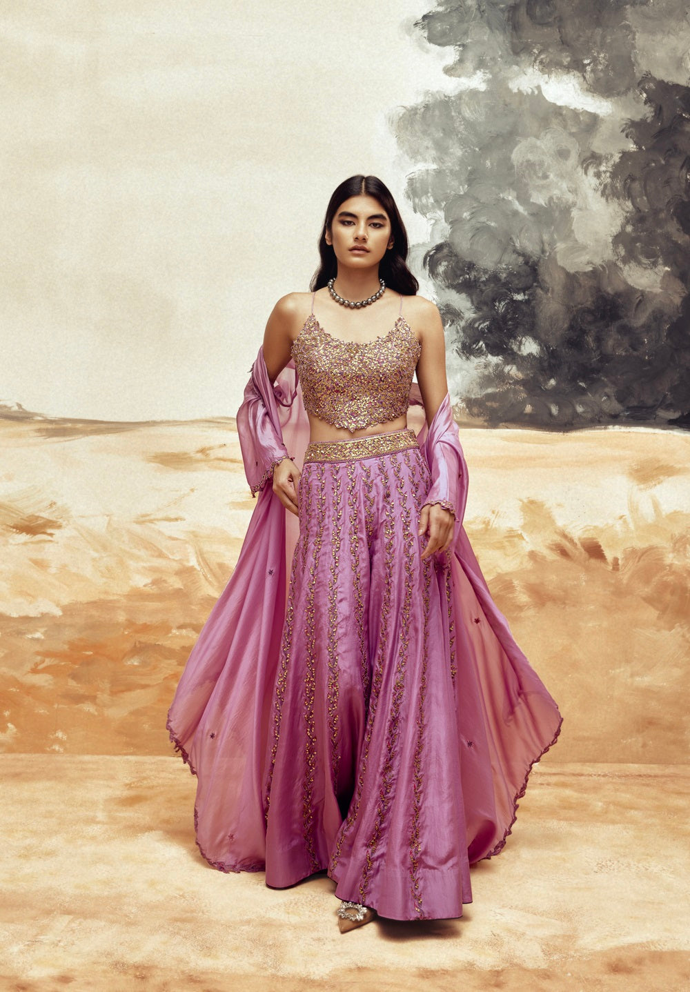 Rani Sa Sharara Set 3