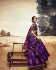 Rani a Baingani Lehenga set 3