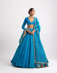 Firozi Silk Organza Heavy Dupatta Lehenga Set