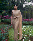 Kanak Tara Crystal Saree Set