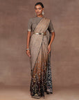 Walnut Brown Ombre Saree Set