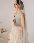 Champagne Embroidered Lehenga Set