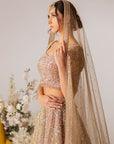 Gold Embroidered Lehenga Set